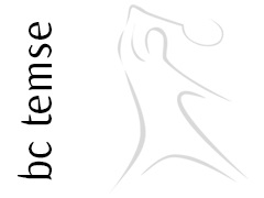 Badminton Club Temse