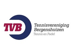 Logo TV Bergenshuizen