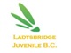 Ladysbridge Juvenile Badminton Club