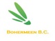 Bohermeen