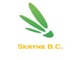 Skryne