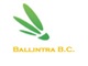 Ballintra