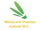 Wicklow Badminton Club