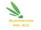 Blackwater Jnr