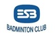 ESB Badminton Club ( Dublin)