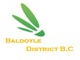 Baldoyle District